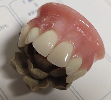 ISO13485 Tradycyjna górna część akrylowa protezy