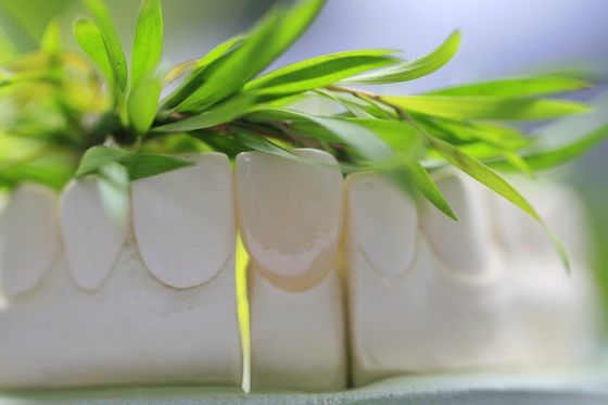 Naturalna trwała szklana ceramiczna korona dentystyczna do zębów przednich