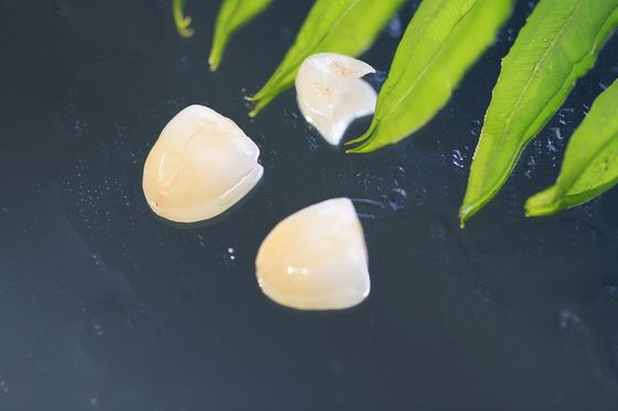 Naturalna korona dentystyczna EMAX