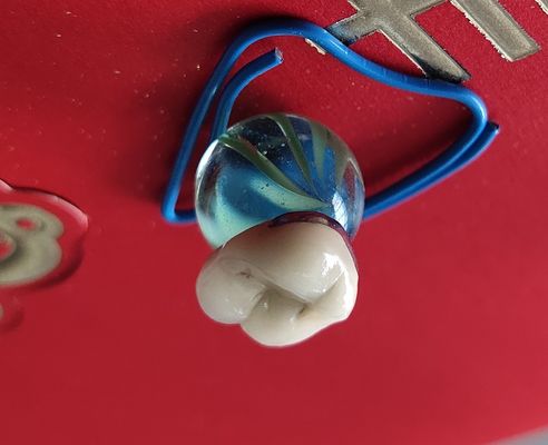Dental Lab Produkt CAD CAM PFM Korona porcelana zespolona z metalem