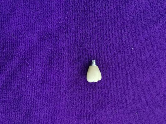 Pojedynczy Ząb Trushine OSSETEM Poziom mocowania implantów dentystycznych